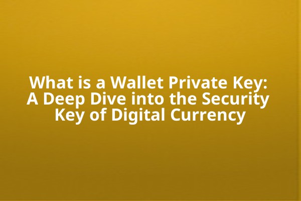 What is a Wallet Private Key: A Deep Dive into the Security Key of Digital Currency