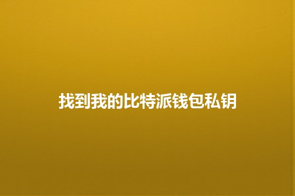 找到我的比特派钱包私钥💰🔑