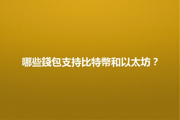 哪些錢包支持比特幣和以太坊？💰✨