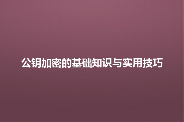 公钥加密的基础知识与实用技巧🔒✨