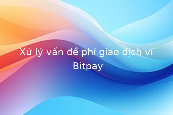 Xử lý vấn đề phí giao dịch ví Bitpay 💰🔧