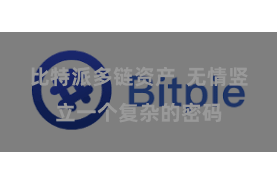 比特派多链资产  无情竖立一个复杂的密码