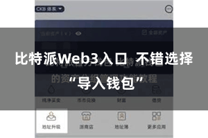 比特派Web3入口  不错选择“导入钱包”