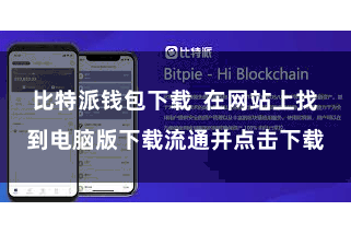 比特派钱包下载  在网站上找到电脑版下载流通并点击下载